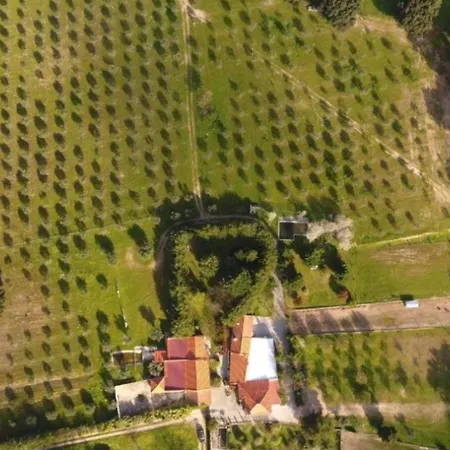 Quinta Santo Antonio Do Rio セロリコ・ダ・ベイラ