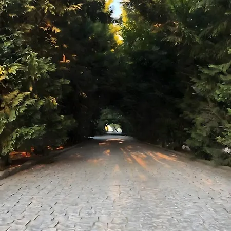 Quinta Santo Antonio Do Rio * セロリコ・ダ・ベイラ