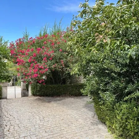 Quinta Santo Antonio Do Rio Farma Celorico Da Beira
