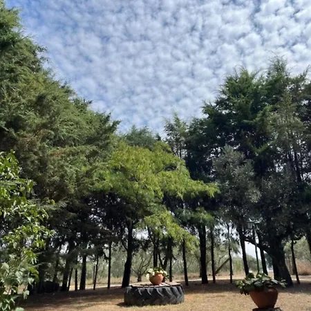 ファームステイ Quinta Santo Antonio Do Rio