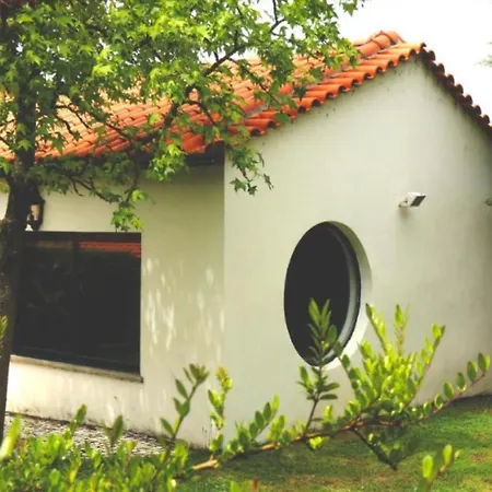 Quinta Santo Antonio Do Rio * セロリコ・ダ・ベイラ