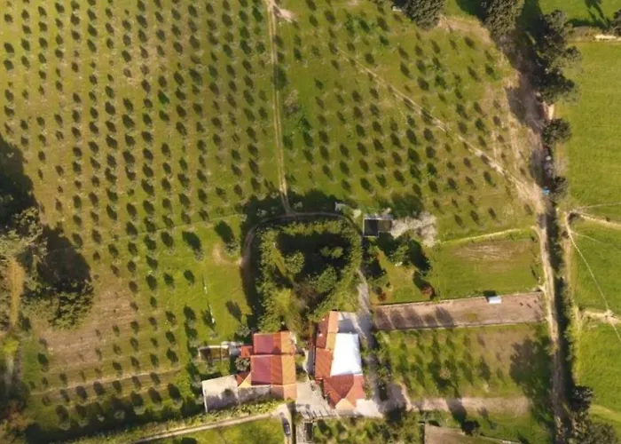 Quinta Santo Antonio Do Rio Celorico Da Beira