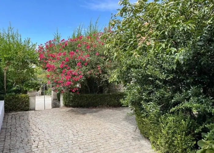Quinta Santo Antonio Do Rio ファームステイ セロリコ・ダ・ベイラ