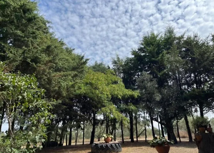Farma Quinta Santo Antonio Do Rio