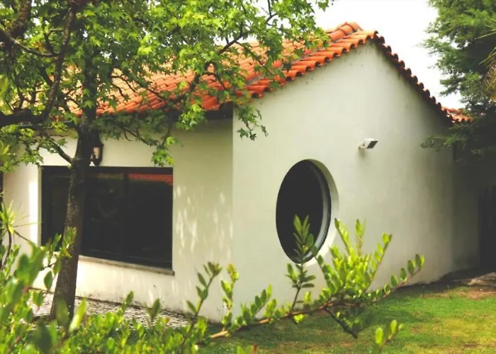 Quinta Santo Antonio Do Rio * Celorico Da Beira