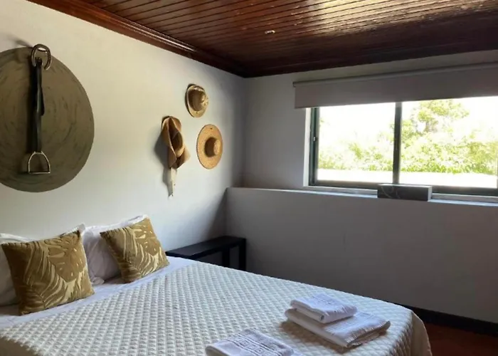 ファームステイ Quinta Santo Antonio Do Rio